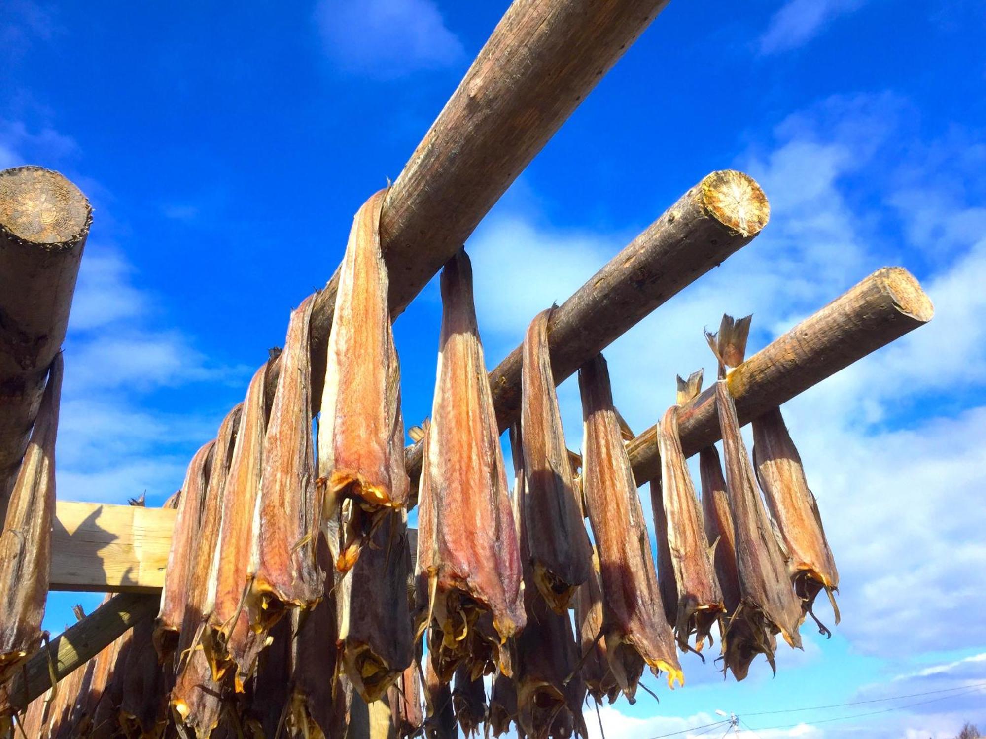 Stamsund Authentic Rorbuヴィラ エクステリア 写真